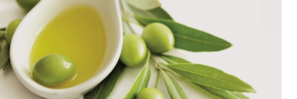 Biologisches Oliven&ouml;l: Ein Geschenk Gottes