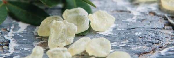 Biologische Produkte mit Mastix von Chios: Einzigartig!