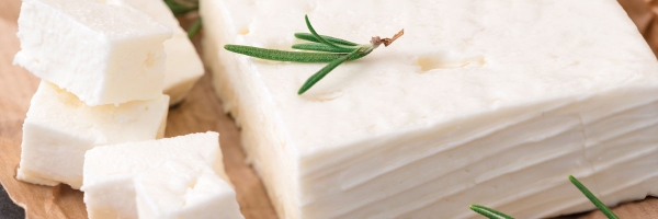 Biologischer K&auml;se jeden Tag!